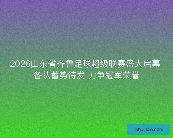 2026山东省齐鲁足球超级联赛盛大启幕 各队蓄势待发 力争冠军荣誉