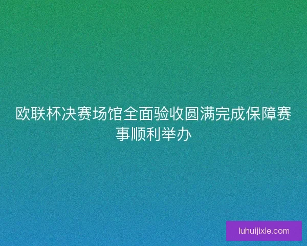 欧联杯决赛场馆全面验收圆满完成保障赛事顺利举办