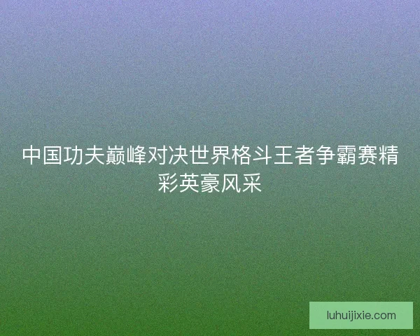 中国功夫巅峰对决世界格斗王者争霸赛精彩英豪风采
